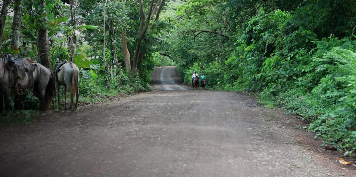 Nueva obra vial impulsa el desarrollo socioproductivo de la comunidad Palmira Uno