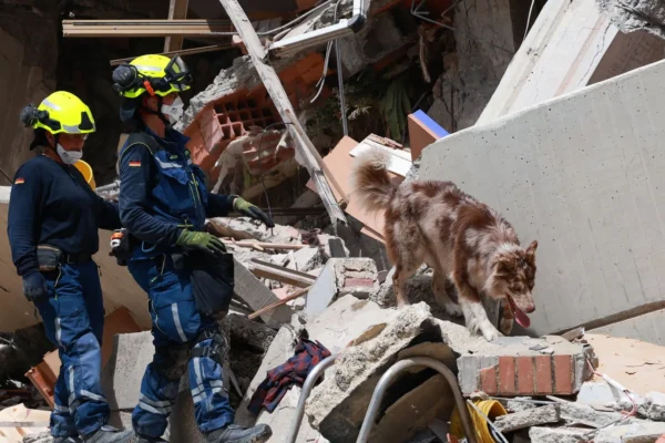 Perros se convierten en pieza clave para el rescate de supervivientes tras los sismos en Venezuela