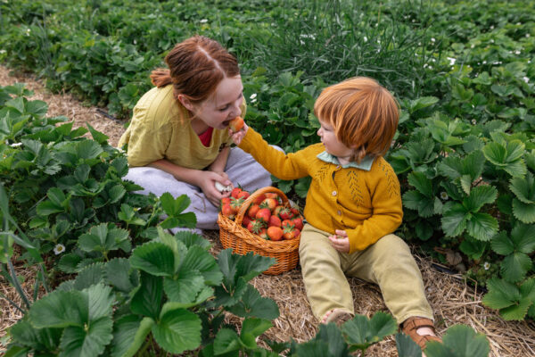 El fruto que conquista el verano y ofrece grandes beneficios para la salud