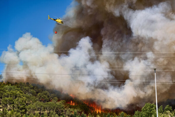 Europa en llamas: devastadores incendios azotan el continente