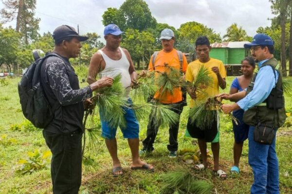 Capacitan en recolección de semillas forestales para fortalecer la reforestación en Waspán