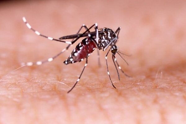 Minsa reporta disminución de casos de neumonía y malaria en la última semana