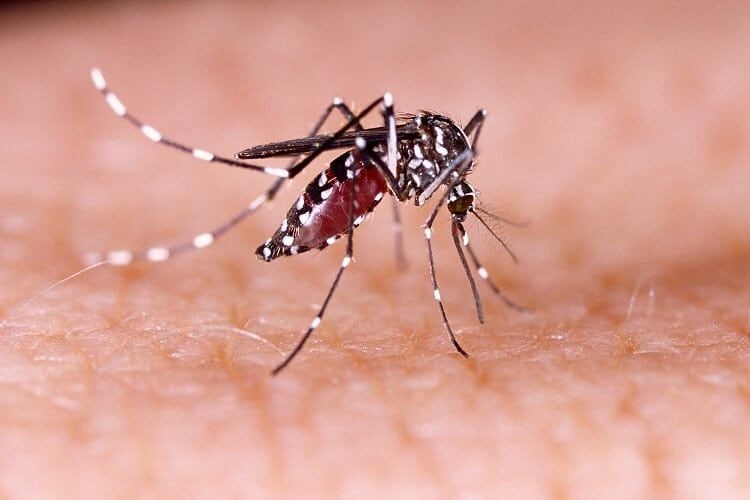 Minsa reporta disminución de casos de neumonía y malaria en la última semana