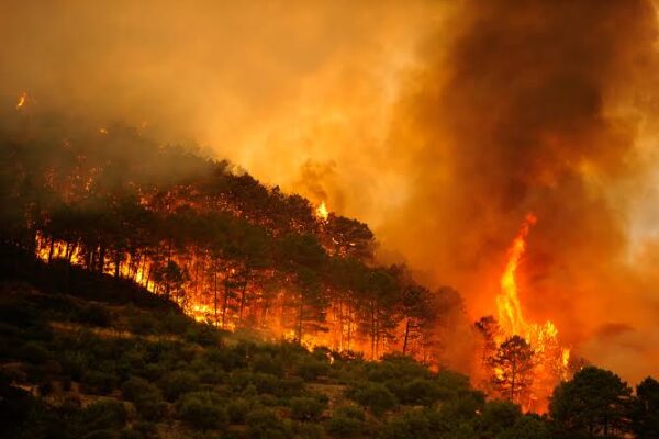 Los incendios arrasan en España una superficie cuatro veces mayor que en 2025