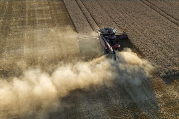Golpe al campo europeo: la ola de calor dejó pérdidas millonarias en la cosecha de cereales