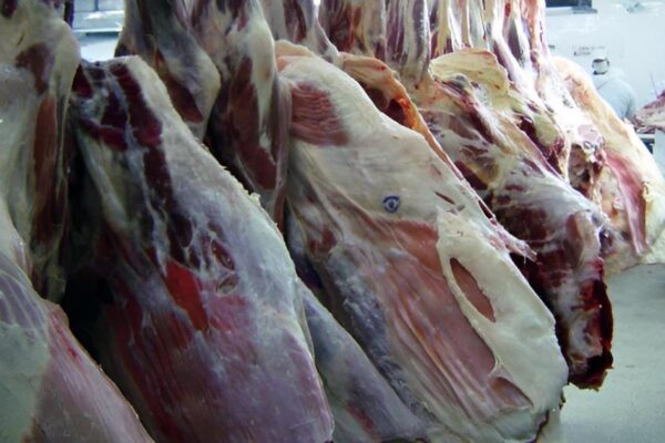 Producción de carne bovina superó las 213 millones de libras en junio