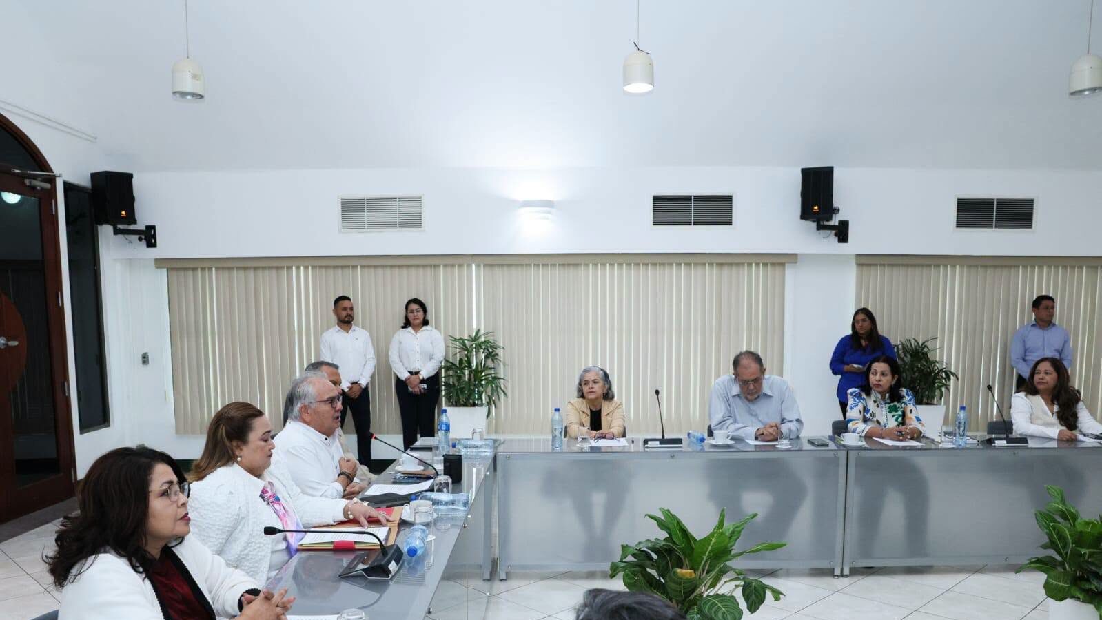 Consultas a reformas electorales se extenderán hasta septiembre
