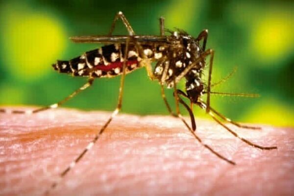 Neumonía disminuye mientras aumentan los casos de dengue, malaria, influenza y chikungunya