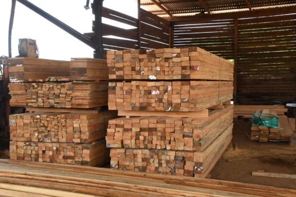 Exportación de madera genera un millón 120 mil dólares en el primer semestre de 2026