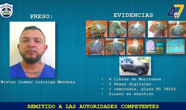 Incauta 24 libras de marihuana en dos operativos policiales en Estelí