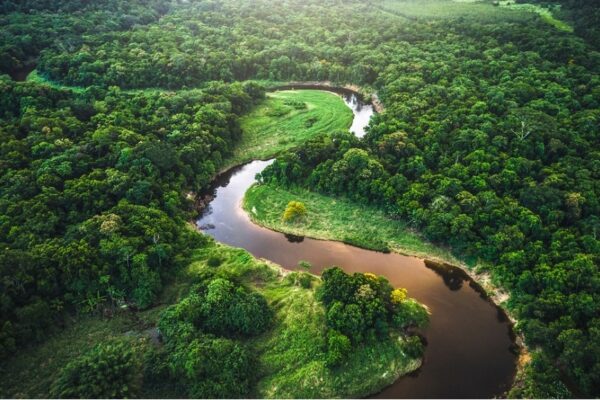 Hallan cientos de estructuras que “transforman por completo” lo que se creía de la Amazonía