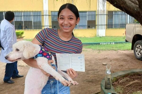 Minsa inicia campaña para vacunar más de 1.7 millones de perros contra la rabia