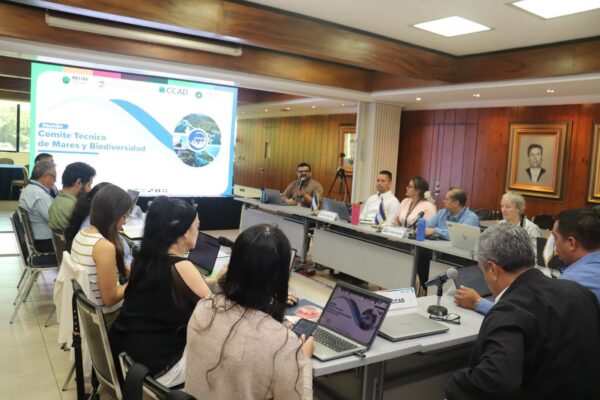 Nicaragua fortalece capacidades de gestión ambiental en el Comité de Mares y Biodiversidad de la CCAD