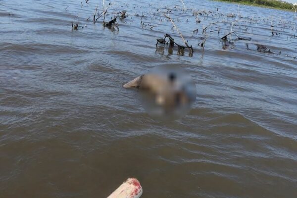 Encuentran cuerpo sin vida de un hombre en las aguas del lago de Managua