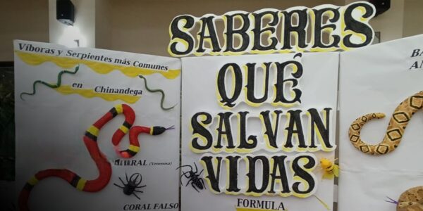 Capacitan a curanderos y médicos tradicionales en atención inicial por mordedura de serpiente