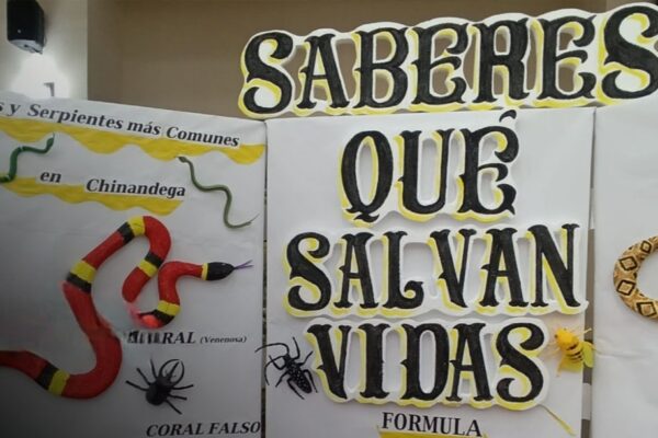 Capacitan a curanderos y médicos tradicionales en atención inicial por mordedura de serpiente