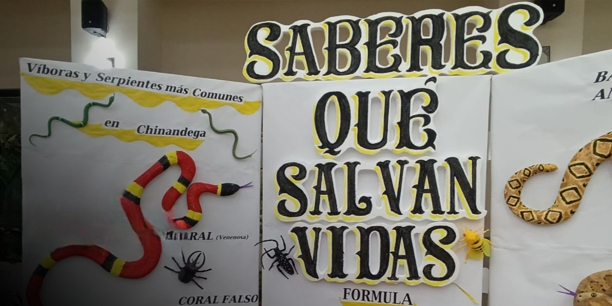 Capacitan a curanderos y médicos tradicionales en atención inicial por mordedura de serpiente