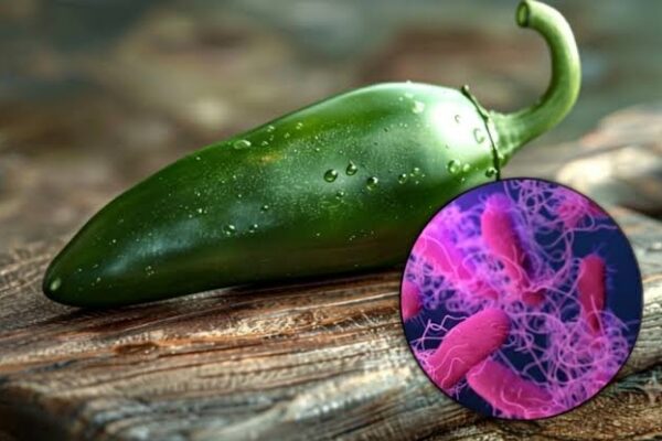 EEUU investiga brote de salmonela vinculado a jalapeños mexicanos