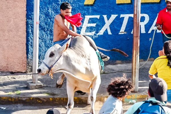 Tradición y algarabía marcan la celebración de las Vacas Culonas