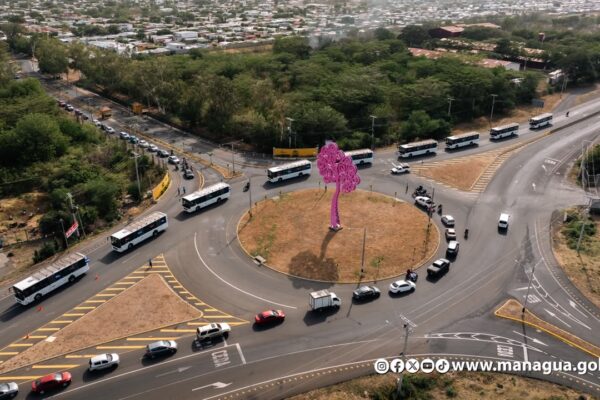 Nueva flota de buses Yutong llega para reforzar el transporte municipal e interurbano