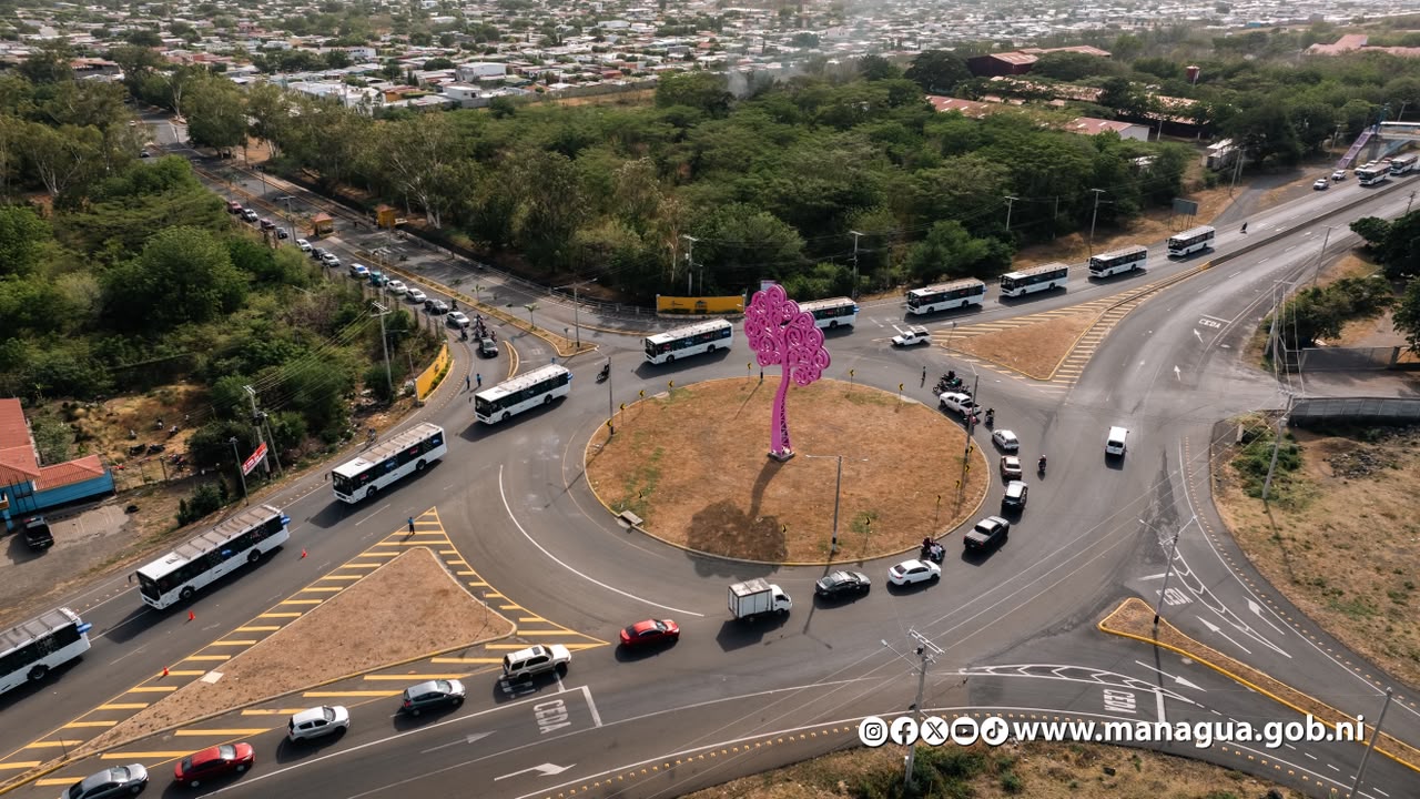 Nueva flota de buses Yutong llega para reforzar el transporte municipal e interurbano