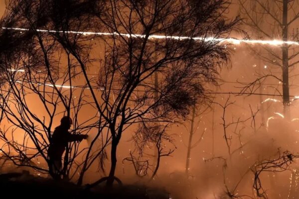 Incendio forestal sin precedentes en Bélgica devora 3.000 hectáreas