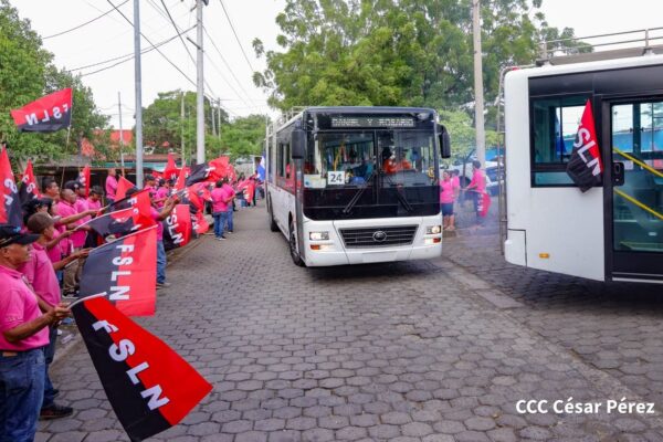 300 buses chinos llegarán en las próximas semanas hasta sumar mil unidades en este 2026