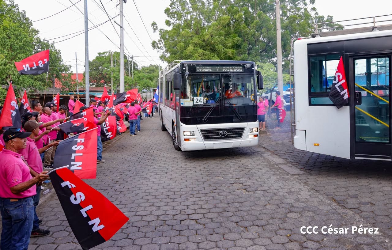 300 buses chinos llegarán en las próximas semanas hasta sumar mil unidades en este 2026