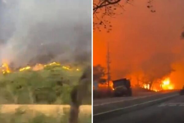 Incendios arrasan más de 20.000 hectáreas en Colombia