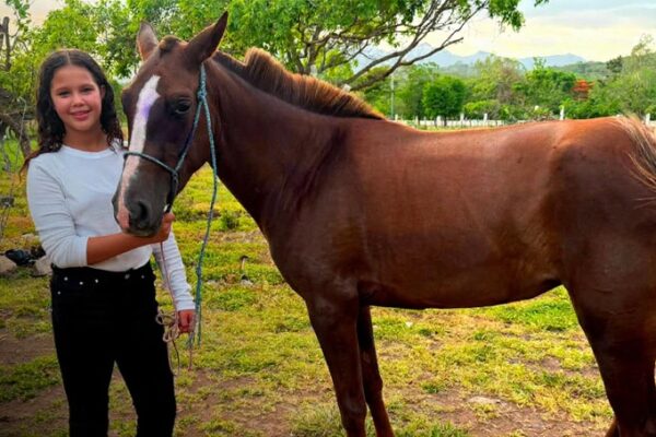 Familia boaqueña denuncia destazamiento de 5 caballos, entre ellos, dos que participaban en competencias deportivas