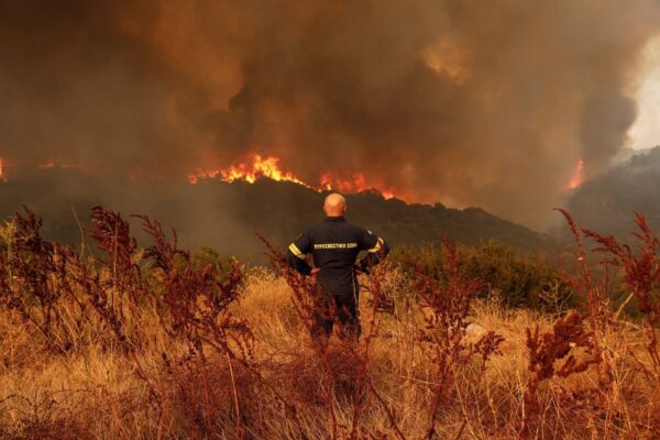 El calor extremo ‘quema’ casi 40.000 millones de dólares en la mayor economía de la UE