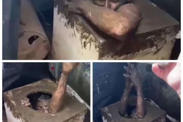 Ladrón terminó atrapado en una letrina mientras intentaba esconderse en Masaya