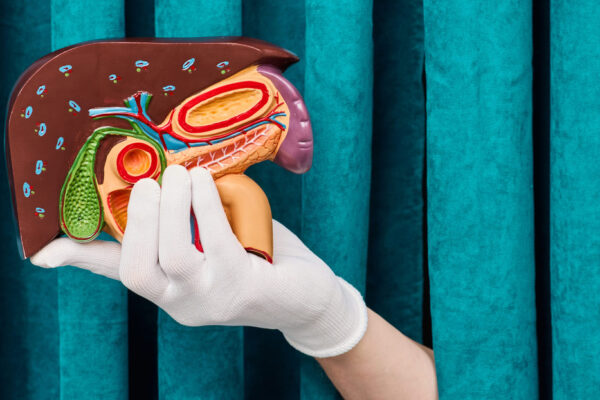 No solo importa qué se come: la hora de las comidas podría afectar nuestra salud