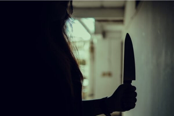 Del teatro al horror: macabro asesinato mutuo de un matrimonio