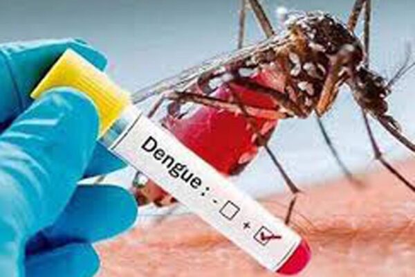 Ecuador registra 32 mil 576 casos de dengue y 35 fallecidos