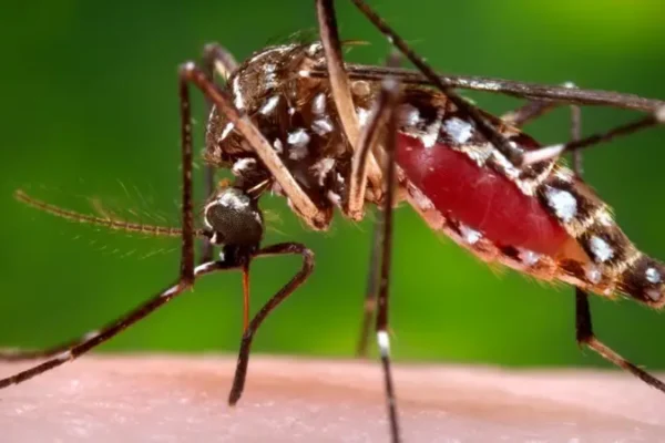 Bajan los casos de neumonía, chikungunya, malaria, influenza y dengue en Nicaragua