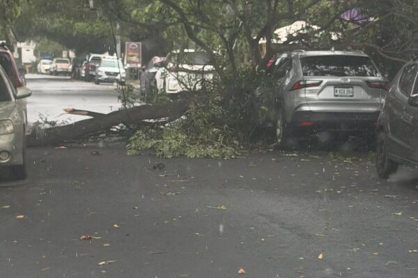 Fuertes vientos y lluvias causan caída de árboles, así como el desbordamiento de ríos en Nicaragua