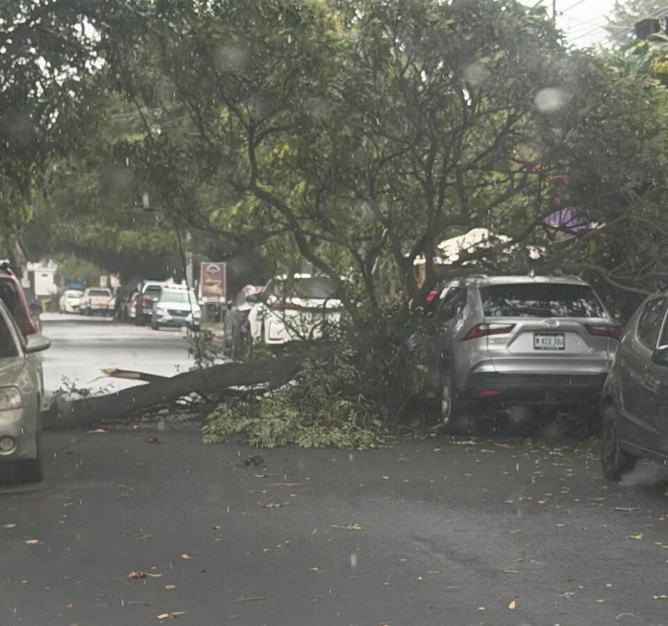 Fuertes vientos y lluvias causan caída de árboles, así como el desbordamiento de ríos en Nicaragua