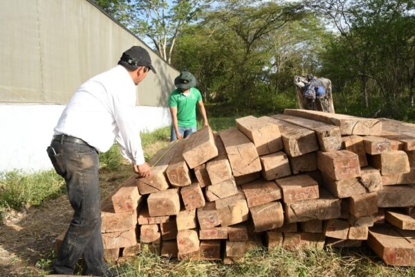 Exportación de madera nicaragüense supera los U$1,379 millones de enero a agosto del 2026
