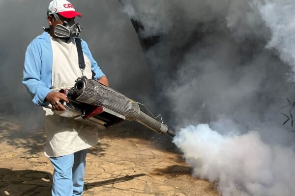 Intensifican lucha contra el mosquito transmisor de enfermedades en los 153 municipios del país