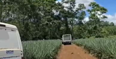 Nicaragüense muere decapitado en Costa Rica