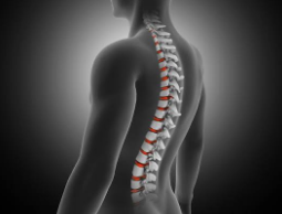 En León realizarán simposio nacional sobre columna vertebral