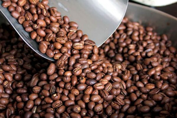 Declararán el 13 de noviembre como el Día Nacional del Café en Nicaragua