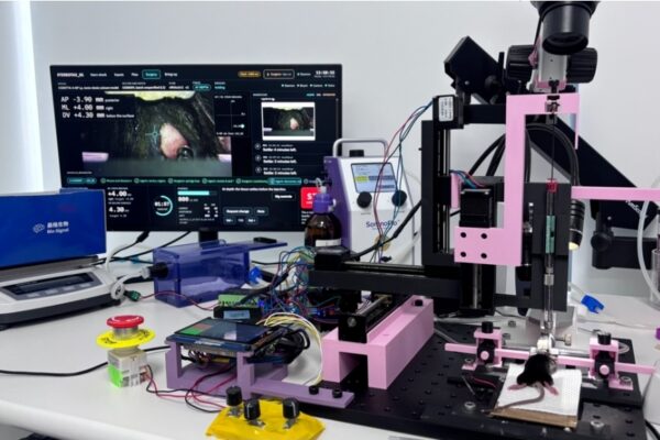 Una IA realiza una operación cerebral a un ratón tomando sus propias decisiones